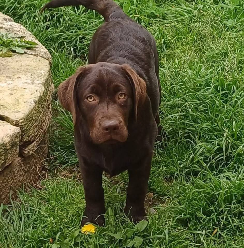 Ultime Desir Du Puy Des Merveilles